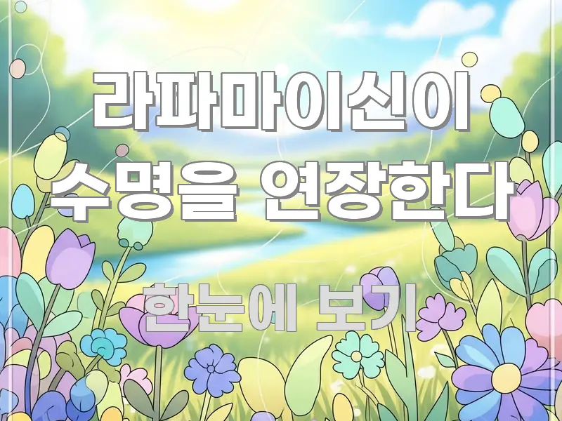 라파마이신이 수명을 연장한다 꼭 필요한 정보만 담은 핵심 정리 썸네일 이미지 - 글 흐름을 돕는 시각 자료