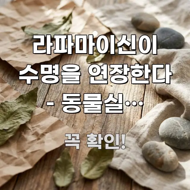 라파마이신이 수명을 연장한다 – 동물실험 결과와 인간 검증된 정보로 구성된 타이포그래피 블로그 표지 - 활용 예시 이미지