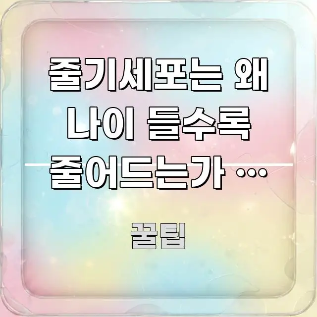 줄기세포는 왜 나이 들수록 줄어드는가 – 재생 능력 흥미롭게 구성한 정보 정리 카드 이미지