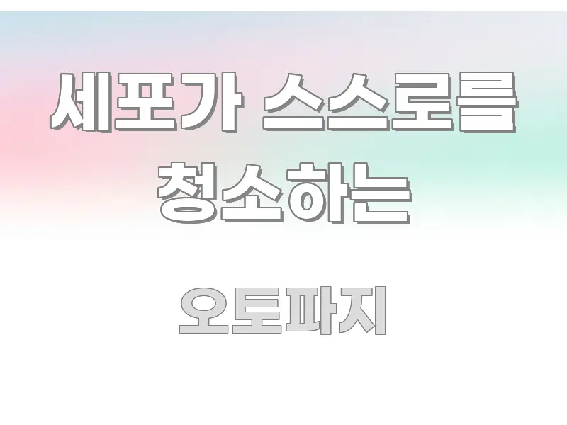 세포가 스스로를 청소하는 흐름을 잡아주는 정보 요약 포스터