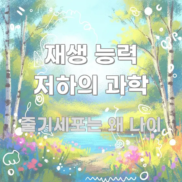 재생 능력 저하의 과학 빠르게 이해할 수 있는 텍스트 기반 블로그 이미지 - 활용 예시 이미지