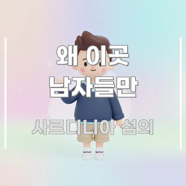왜 이곳 남자들만 한 번에 이해되는 핵심 요약 디자인 카드 - 참고용 이미지