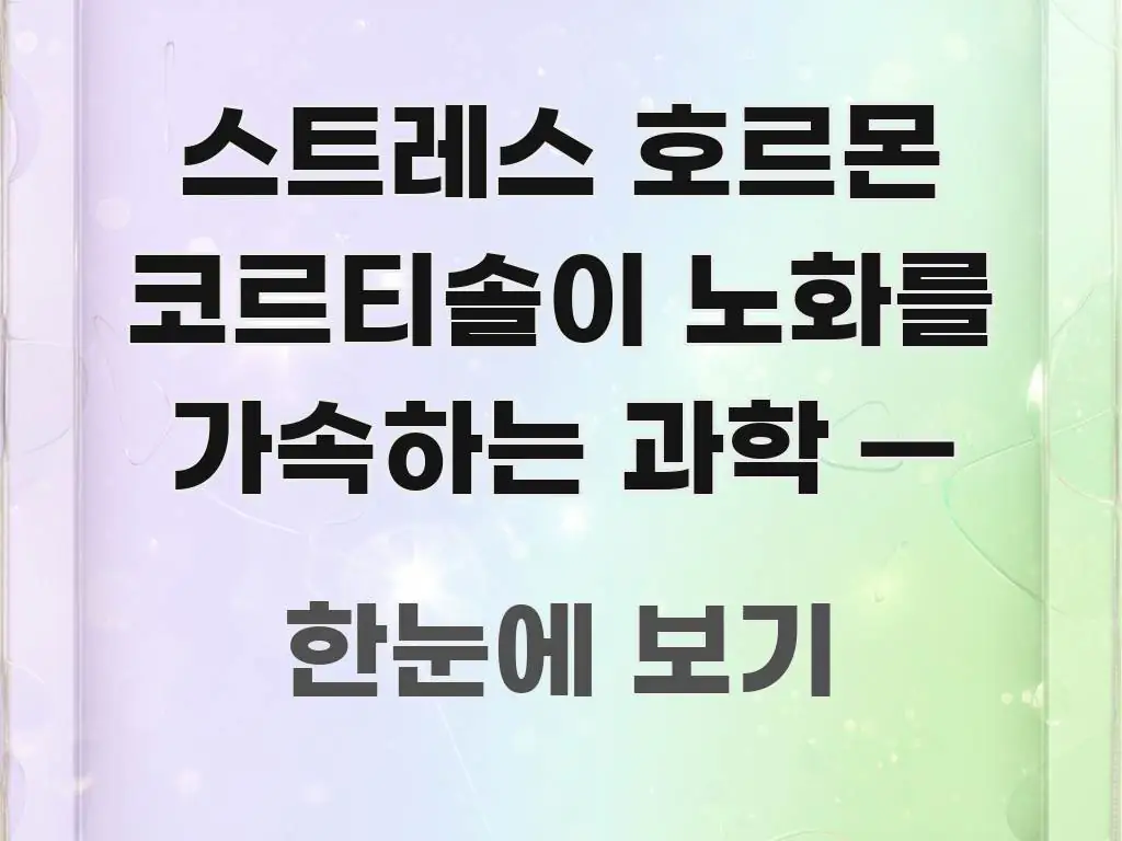 스트레스 호르몬 코르티솔이 노화를 가속하는 과학 — 바로 활용 가능한 타이포그래피 블로그 표지