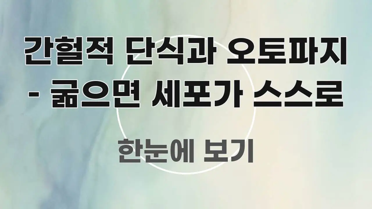 간헐적 단식과 오토파지 – 굶으면 세포가 스스로 꼼꼼하게 정리된 가독성 높은 정보 이미지 - 참고용 이미지