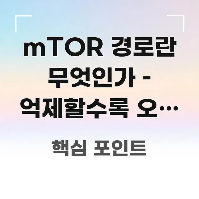mTOR 경로란 무엇인가 – 억제할수록 오래 사는 이유 전문적으로 분석한 핵심 키워드 시각화 이미지 - 가독성을 높이는 이미지