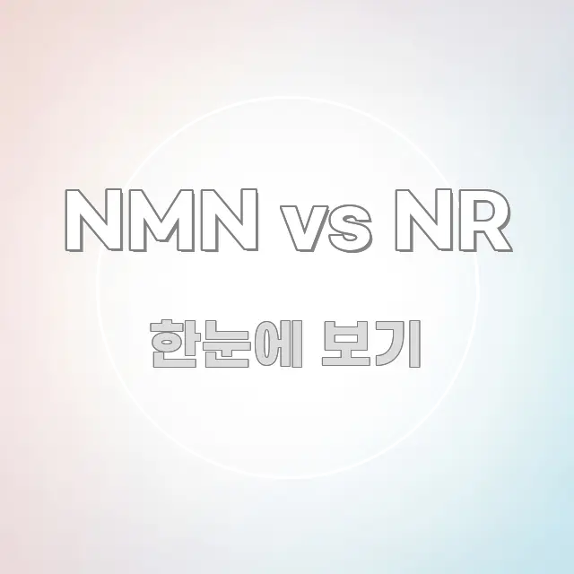 NMN vs NR 실생활에 도움되는 모던 카드뉴스 디자인