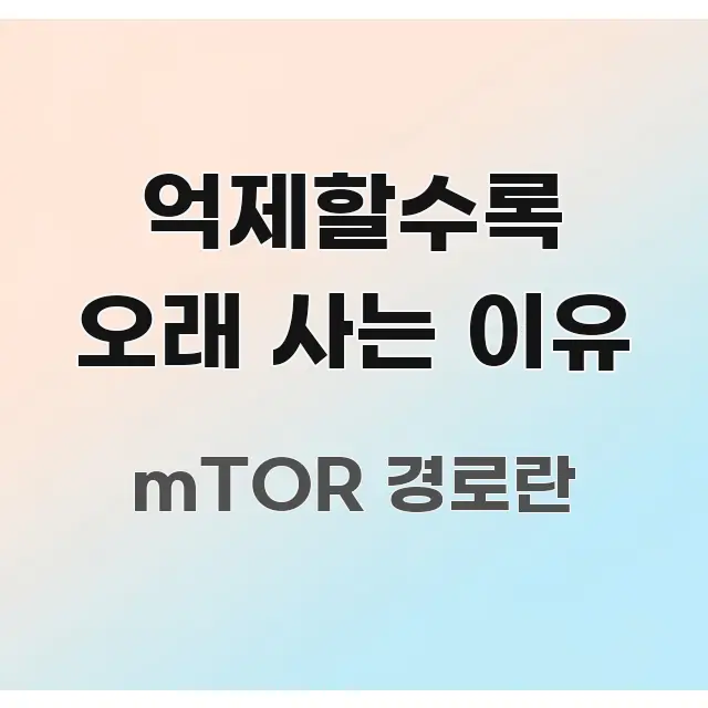 억제할수록 오래 사는 이유 핵심 정보를 압축한 미니멀 블로그 썸네일