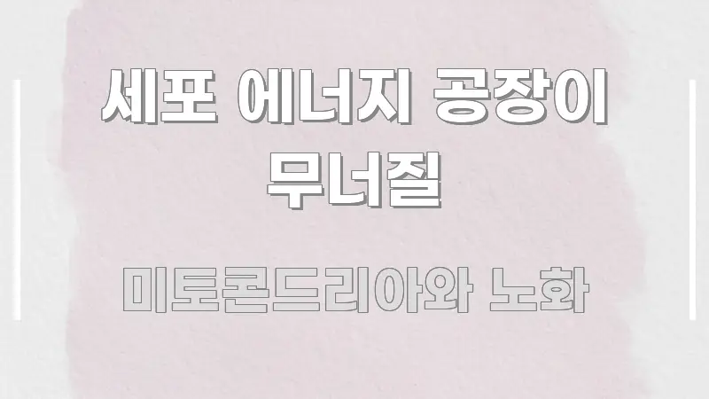 세포 에너지 공장이 무너질 한 번에 이해되는 카드뉴스 스타일 이미지 - 설명을 돕는 이미지
