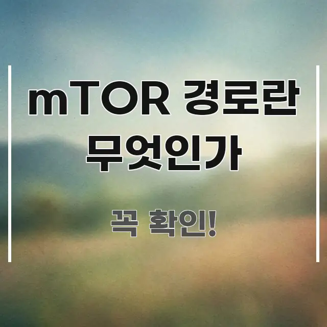 mTOR 경로란 무엇인가 꼭 필요한 정보만 담은 정보 카드 디자인 이미지 - 내용 요약을 위한 이미지