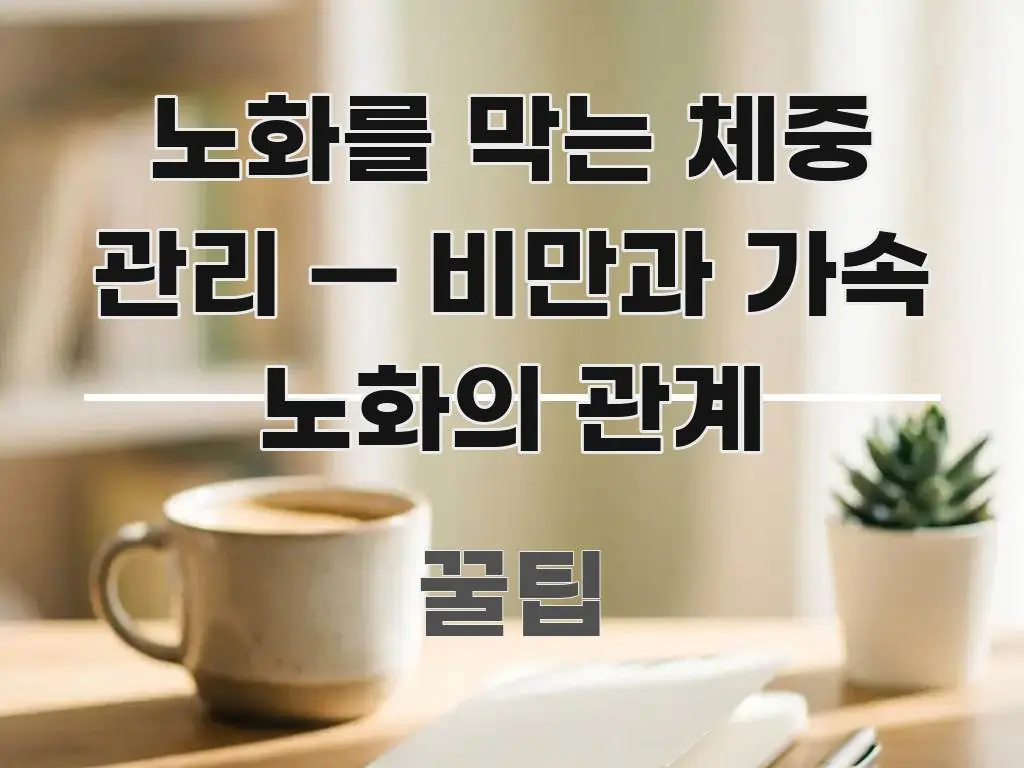 노화를 막는 체중 관리 — 비만과 가속 노화의 관계 한눈에 들어오는 블로그 섹션 구분 이미지 - 설명을 돕는 이미지
